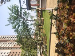 3 BHK + Pooja Room Apartment For Rent in Rajapushpa Provincia