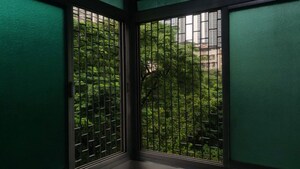 1 BHK Apartment For Rent in Ekta CHS Ltd, Gokuldham Colony