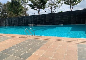 Swimming Pool in 3 BHK Apartment at RMZ Galleria, Yelahanka – for Sale