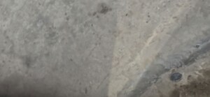 Room in 3 BHK Apartment at Emerald Anmol, Sector 88 – for Rent