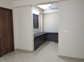 1 BHK 400 Sq.Yd. Builder Floor in RWA Residential Society Sector 46