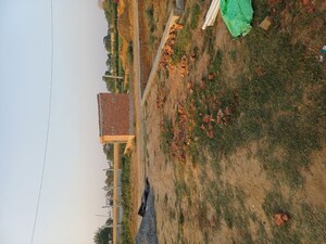  Plot – Garden View at Sector 68 - for Sale