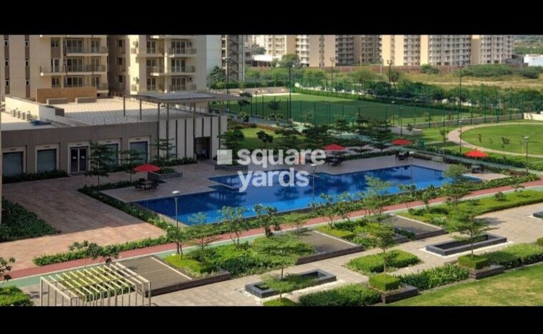 Swimming Pool, conscient-heritage-max 3 Bedroom 1870 Sq.Ft. Apartment In Sector 102 Gurgaon 10264160