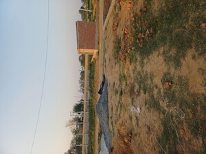  Plot For Sale in Sector 68