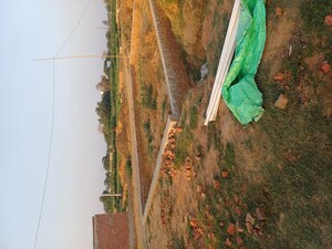  Plot – Garden View at Sector 68 - for Sale