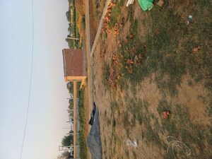  Plot For Sale in Sector 68