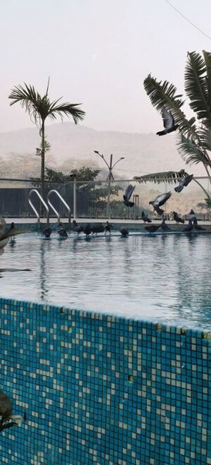 Swimming Pool in 2 BHK Apartment at Vihang Vermont, Ghodbunder Road – for Rent