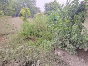 3 BHK Builder Floor – Garden View at SS Almeria, Sector 84 - for Sale