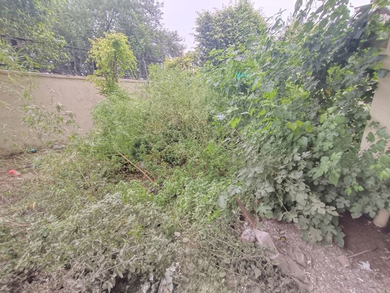 Garden, ss-almeria 3 Bedroom 2000 Sq.Ft. Builder Floor In Sector 84 Gurgaon 9905925