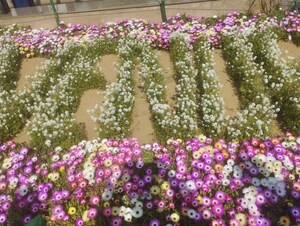 1 RK Builder Floor – Exterior View View at Kohli One Malibu Town, Sector 47 - for Rent