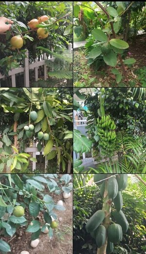 Balcony in 1 RK Builder Floor at Kohli One Malibu Town, Sector 47 – for Rent