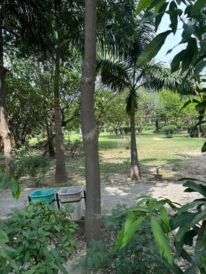 3.5 BHK Independent House – Garden View at RWA Apartments Sector 52, Sector 52 - for Sale