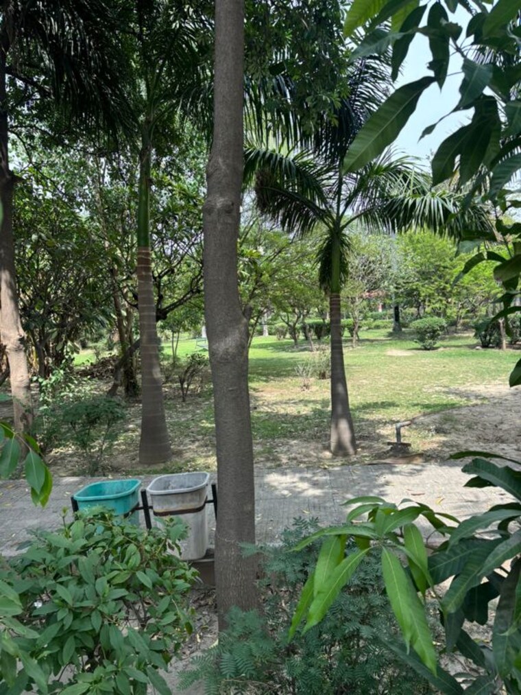 Garden, rwa-apartments-sector-52 3.5 Bedroom 220 Sq.Mt. Independent House In Sector 52 Noida 10264430