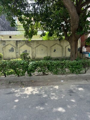 3.5 BHK Independent House – Exterior View View at RWA Apartments Sector 52, Sector 52 - for Sale