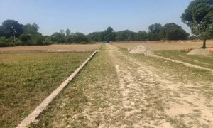 Plot Area in  Plot at Sector 17 Yamuna Expressway – for Sale