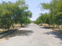 Plot For Sale in Chandapura