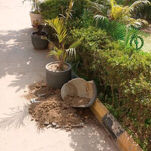 3 BHK Builder Floor – Garden View at BPTP Park Elite Floors, Sector 85 - for Sale