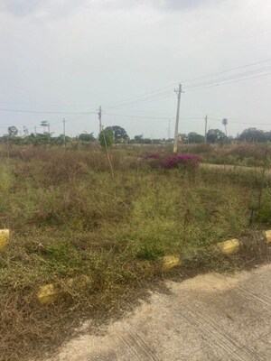  Plot For Sale in Subhash Gunj