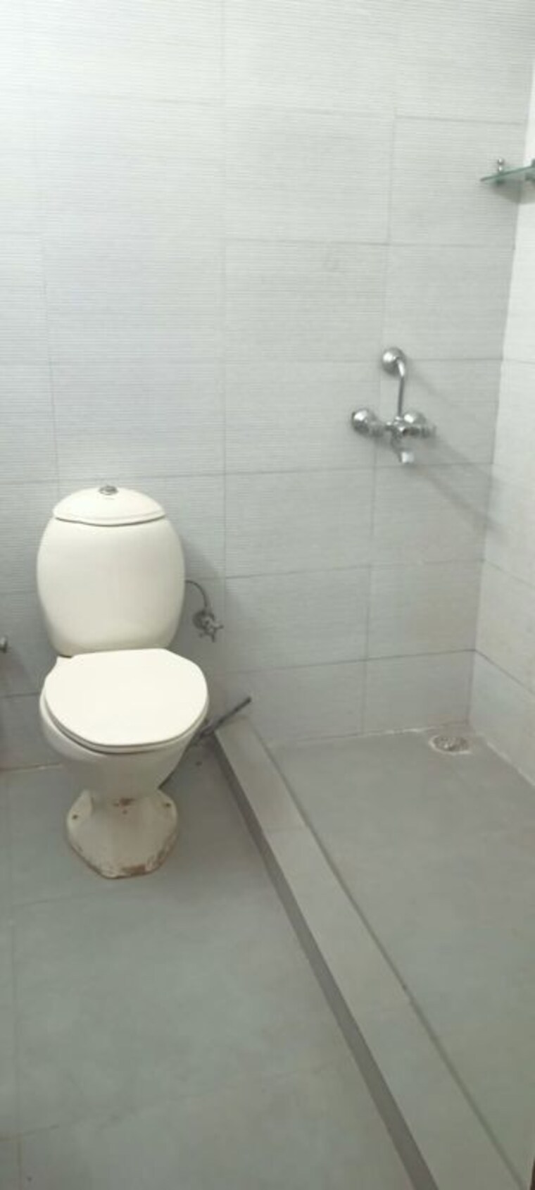 Bathroom, dlf-city-phase-iv 3 Bedroom 270 Sq.Ft. Builder Floor In Dlf Phase iv Gurgaon 10264869