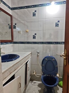 4 BHK + Pooja Room Builder Floor For Sale in Chittaranjan Park