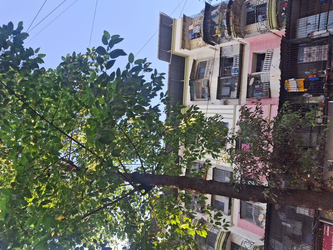 2 BHK + Pooja Room Apartment For Rent in Ghansoli