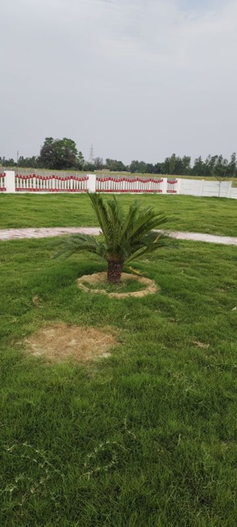 Garden, krishna-iscon-valley  1000 Sq.Ft. Plot In Gosainganj Lucknow 10265572
