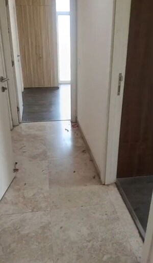 Room in 2 BHK Apartment at Ireo The Corridors, Sector 67a – for Rent