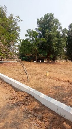 Plot For Sale in Nature Yadadri Ambience