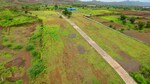 11000 Sq.Ft. Plot in Patethan