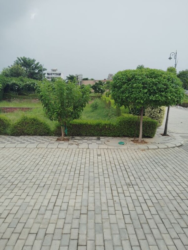 Garden, sector 16 wave city  1517 Sq.Ft. Plot In Sector 16 Wave City Ghaziabad 10266192