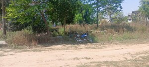 Plot Area in  Plot at Raebareli Road – for Sale