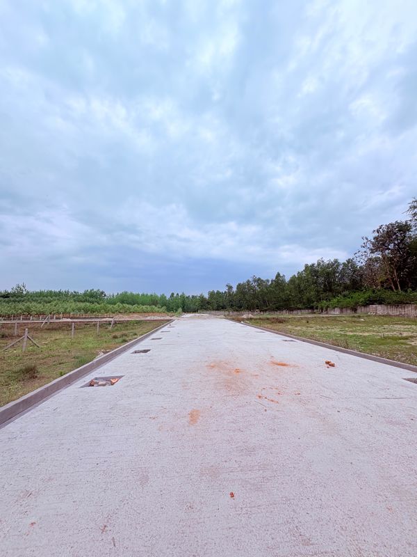 Plot For Sale in Biharigarh