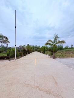 Plot For Sale in Biharigarh