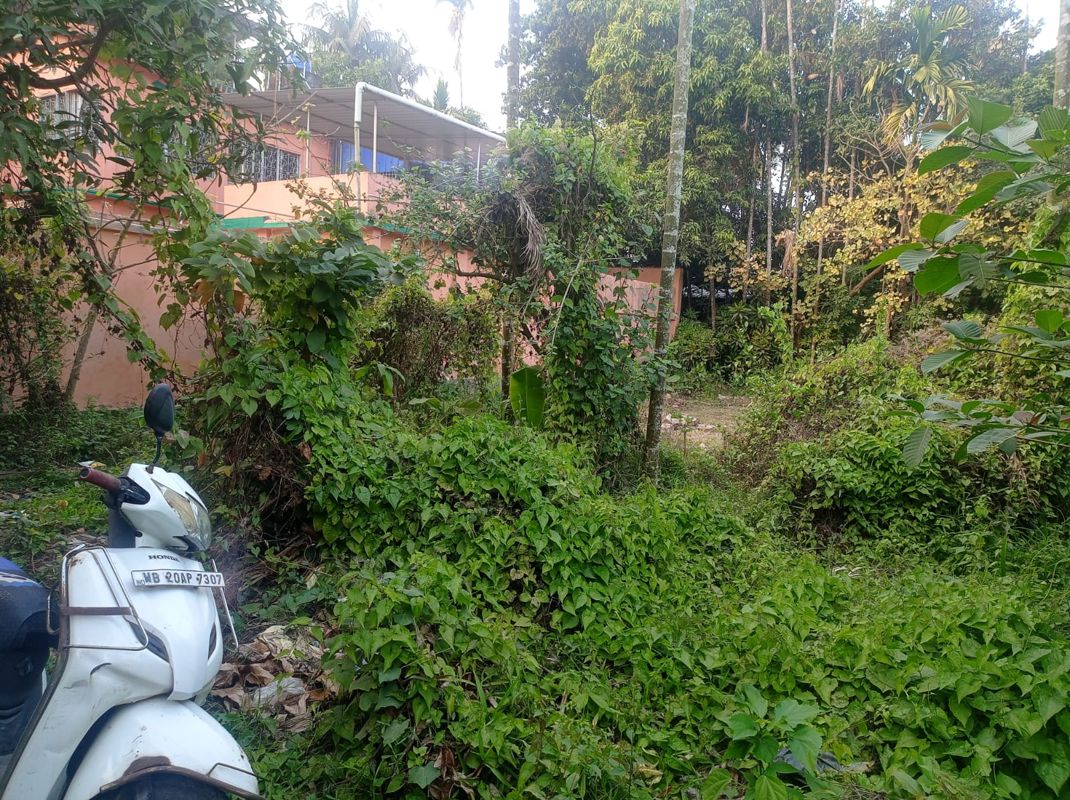 Plot For Sale in Sonarpur