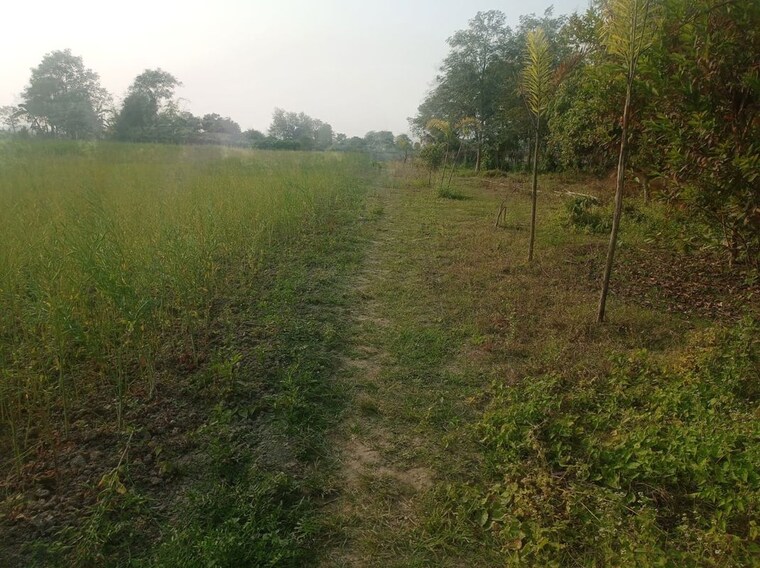 undefined, kolkatta gpo  7210 Sq.Ft. Plot In Kolkatta Gpo Kolkata 10032787