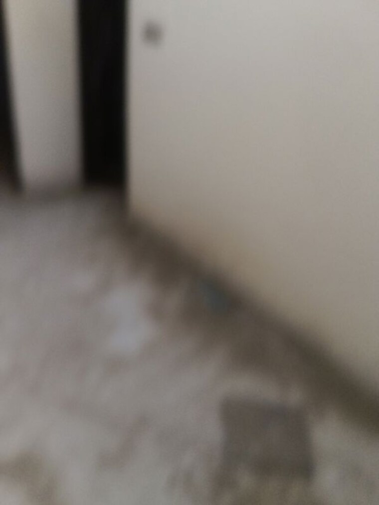 undefined, chaprana colony 2 Bedroom 735 Sq.Ft. Independent House In Chaprana Colony Greater Noida 10267800