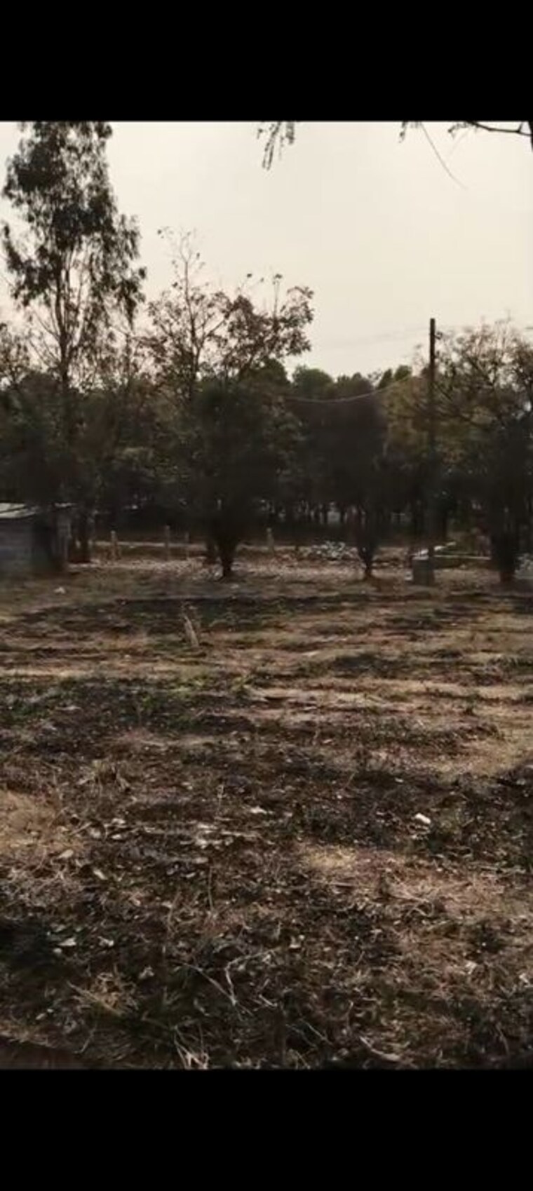 undefined, jr-sp-gardens  1500 Sq.Ft. Plot In Marsur Bangalore 10267947