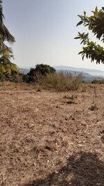 80000 Sq.Ft. Plot in Alibag