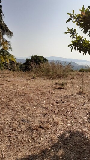  Plot For Sale in Alibag