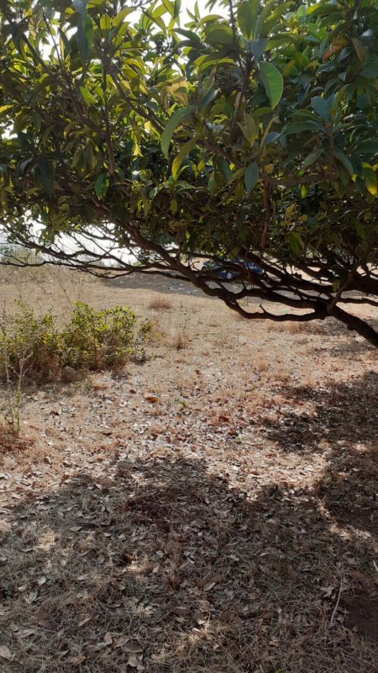 undefined, alibag  80000 Sq.Ft. Plot In Alibag Raigad 10267952