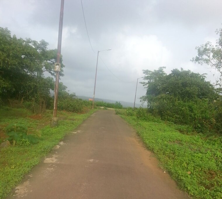 Garden, alibag  80000 Sq.Ft. Plot In Alibag Raigad 10267952