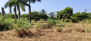 Plot Area in  Plot at Alibag – for Sale