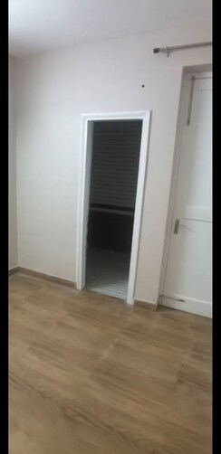 3 BHK Builder Floor For Rent in TDI The Grand Retreat