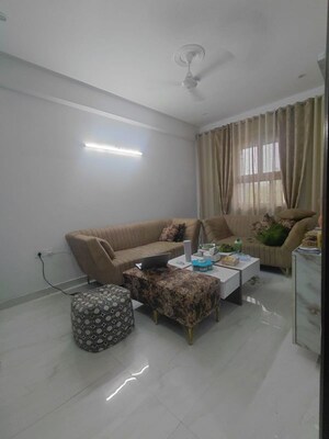 Living Room in 3 BHK Builder Floor at Sector 49 – for Rent