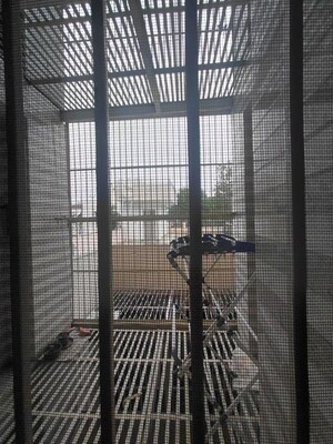 Balcony in 3 BHK Builder Floor at Sector 49 – for Rent