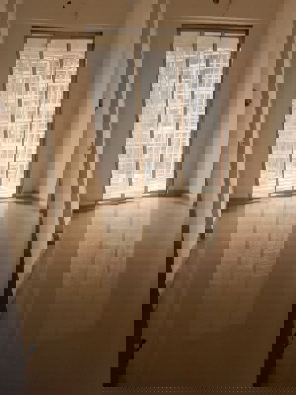 2 BHK 490 Sq.Ft. Apartment in JSB Nakshatra Greens