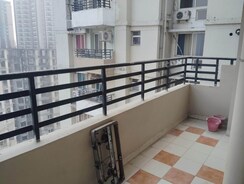 2.5 BHK + Pooja Room Apartment For Rent in Amrapali Golf Homes