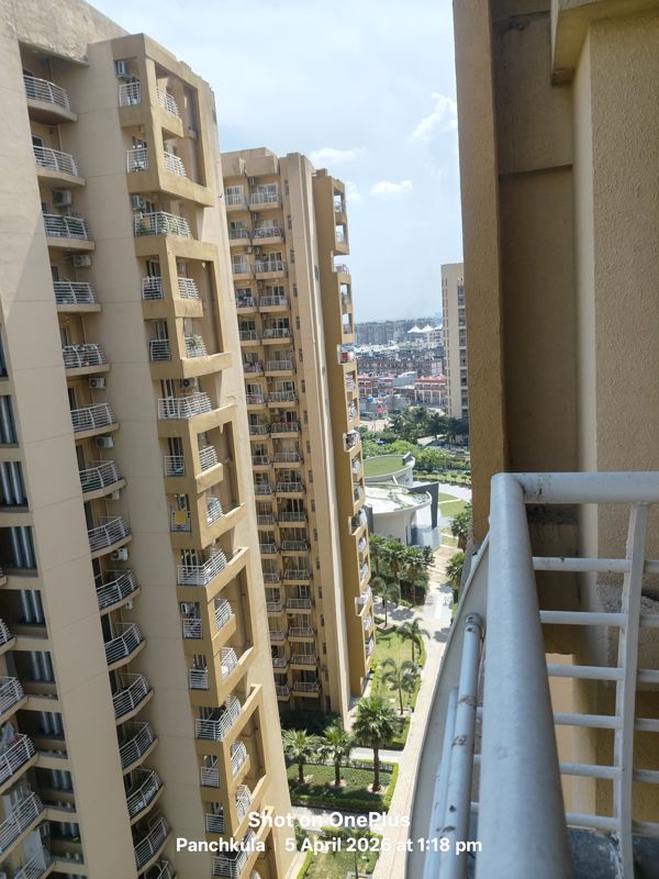 3 BHK + Servant Room Apartment For Sale in Sector 20