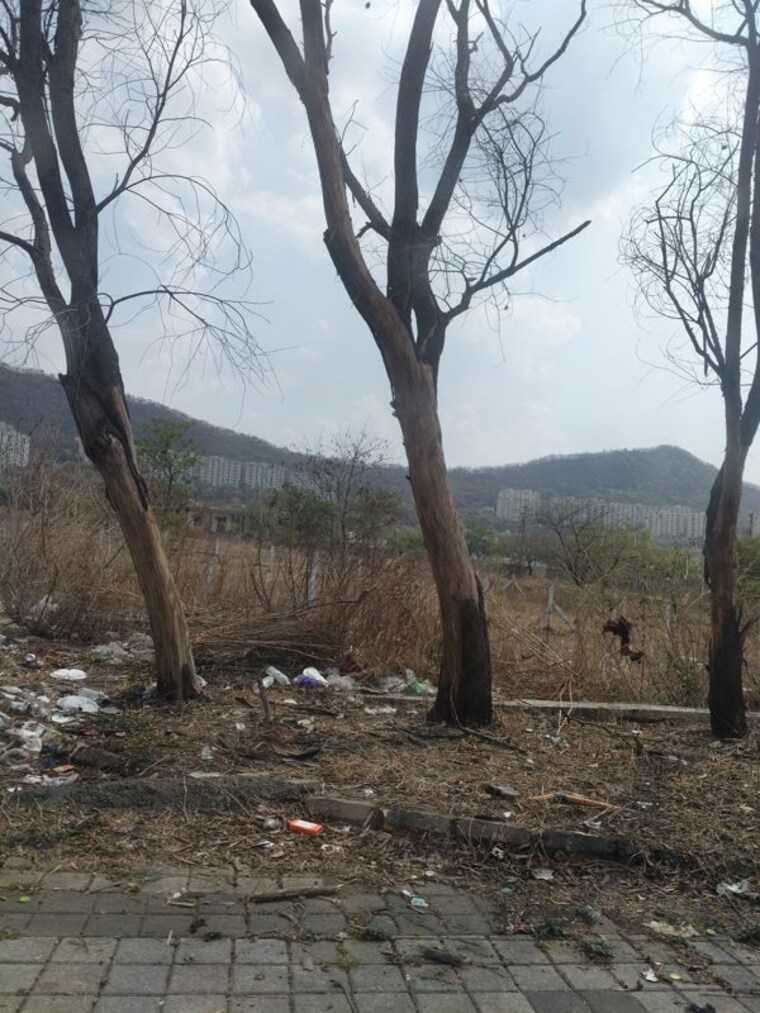 undefined, sairung-villa  3500 Sq.Ft. Plot In Hinjewadi Pune 10268190