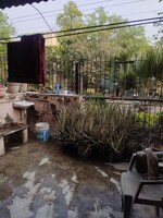 3 BHK + Pooja Room 2000 Sq.Ft. Apartment in Sarita Vihar